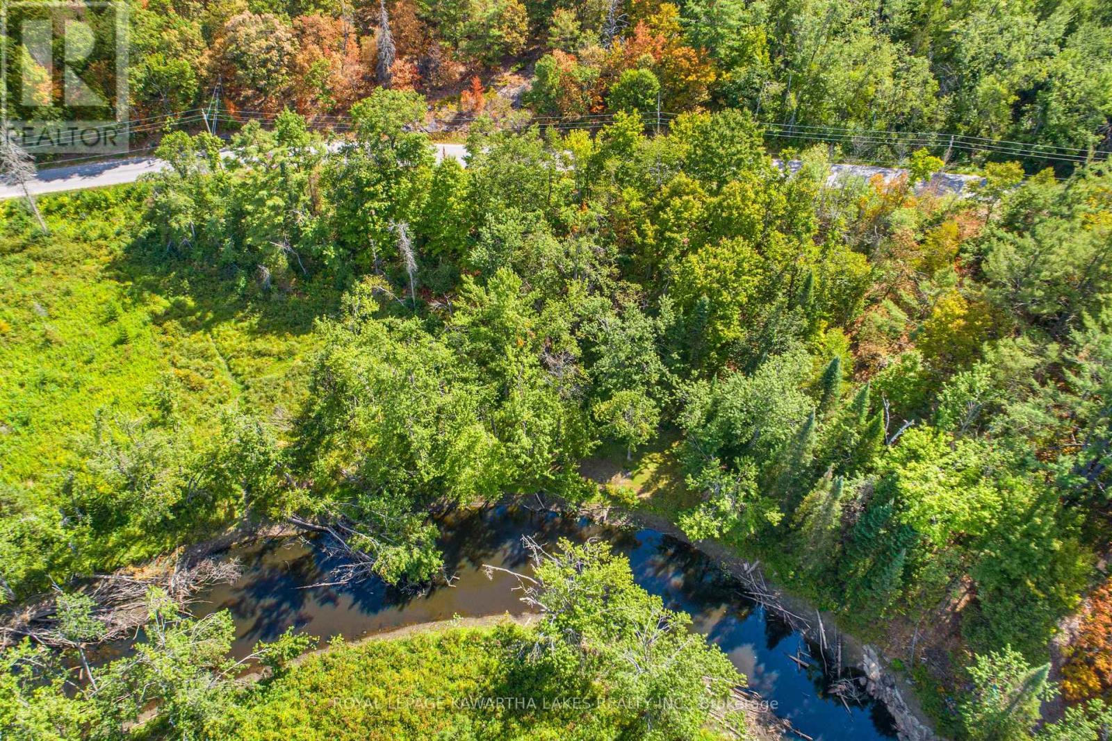 Pt Lot 36 Edwina Drive, Trent Lakes, Ontario  K0M 1A0 - Photo 4 - X12356493