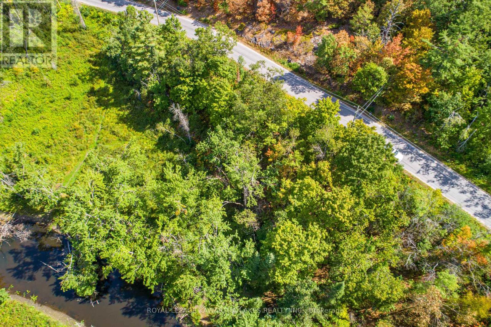 Pt Lot 36 Edwina Drive, Trent Lakes, Ontario  K0M 1A0 - Photo 5 - X12356493