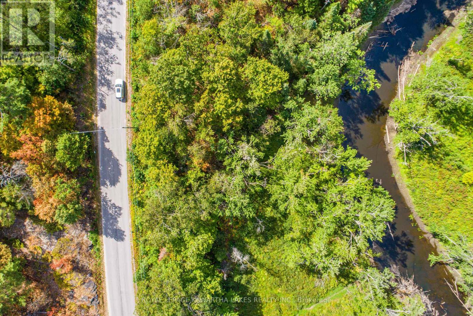 Pt Lot 36 Edwina Drive, Trent Lakes, Ontario  K0M 1A0 - Photo 6 - X12356493