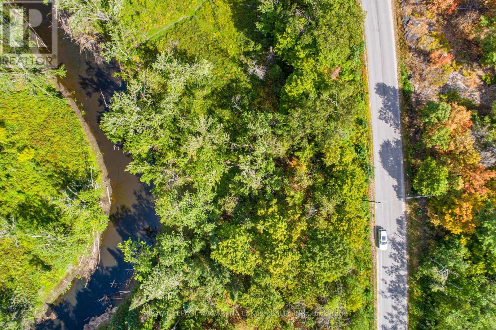 Pt Lot 36 Edwina Drive, Trent Lakes, Ontario  K0M 1A0 - Photo 7 - X12356493