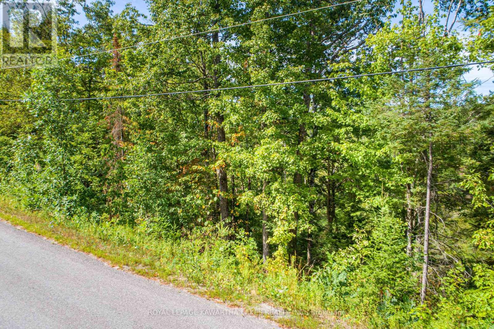 Pt Lot 36 Edwina Drive, Trent Lakes, Ontario  K0M 1A0 - Photo 8 - X12356493