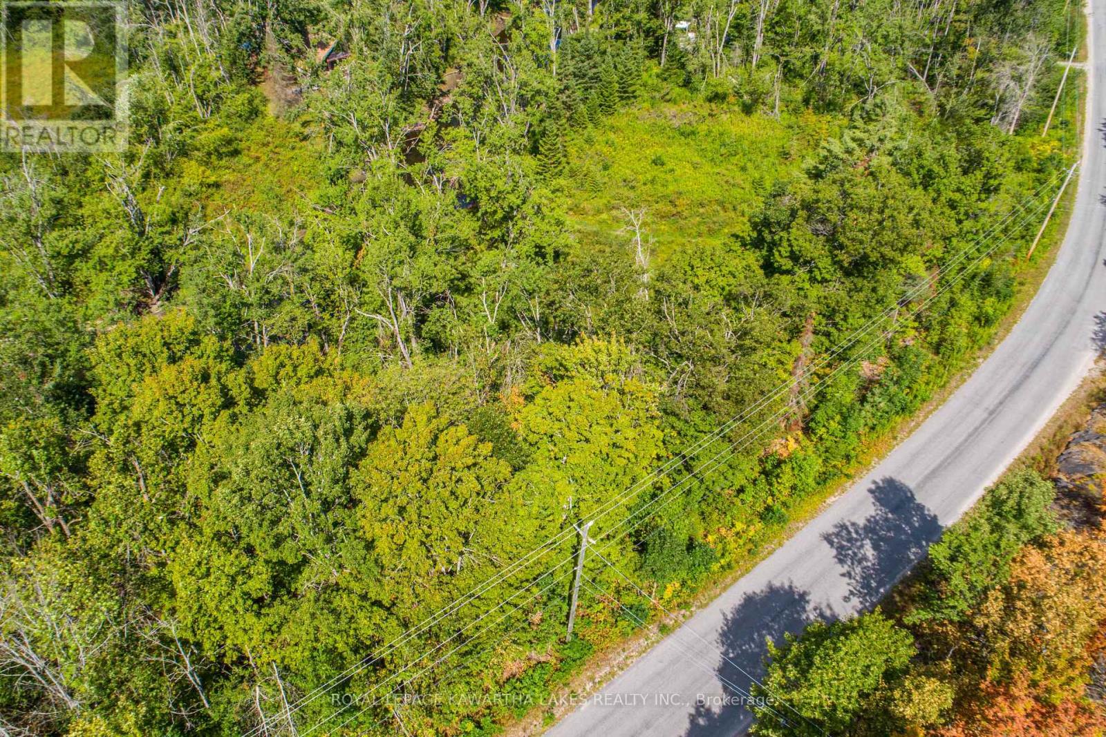 Pt Lot 36 Edwina Drive, Trent Lakes, Ontario  K0M 1A0 - Photo 9 - X12356493