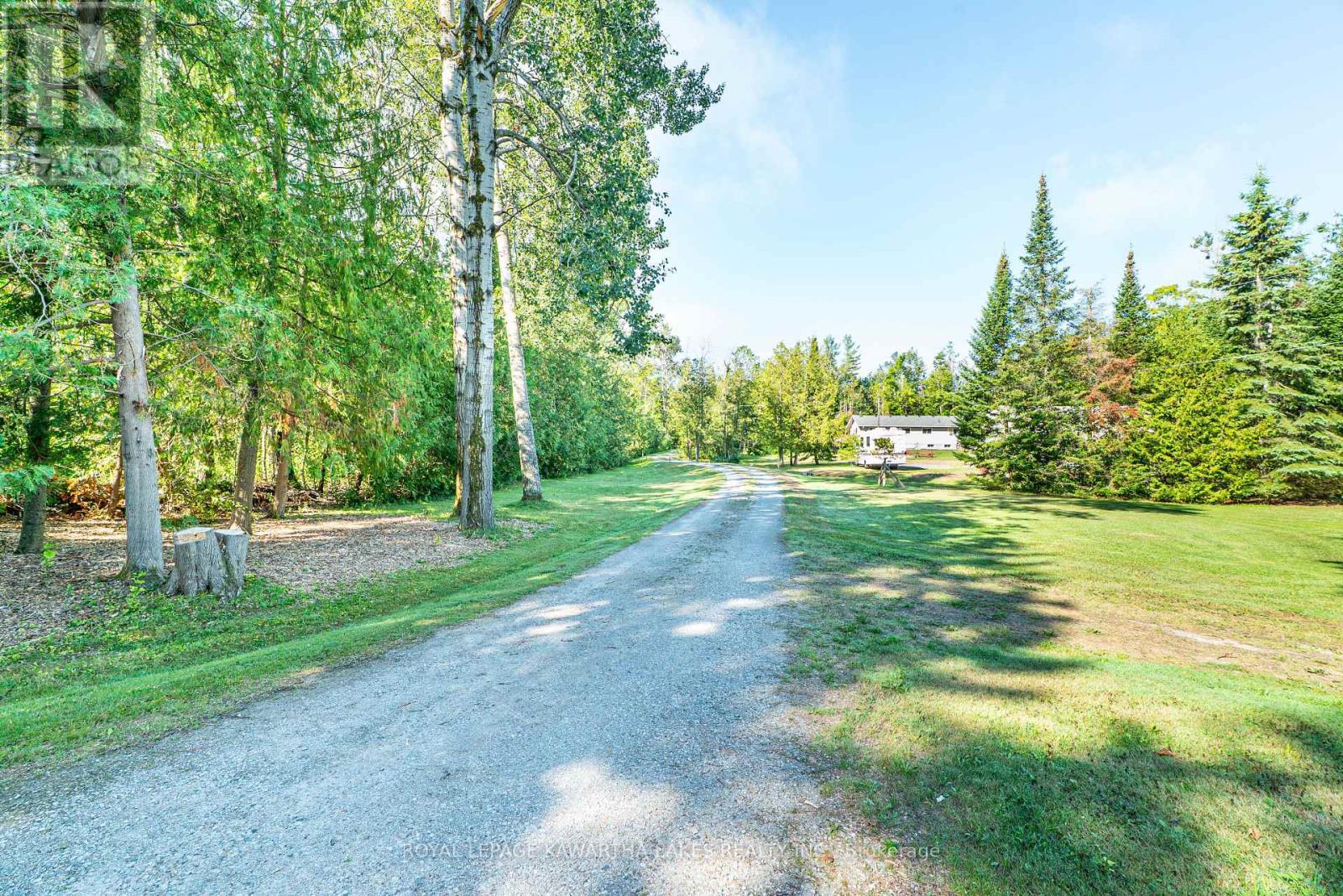 426 Farms Road, Kawartha Lakes, Ontario  K0M 2T0 - Photo 4 - X12362353