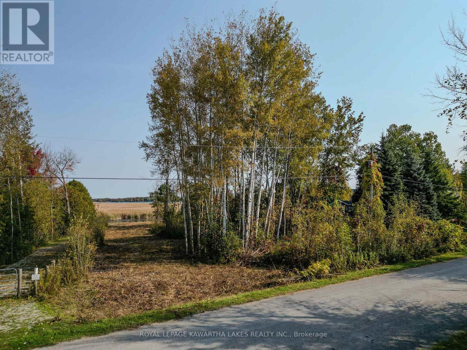 Lt 14 Charlore Park Drive, Kawartha Lakes, Ontario  K0L 2W0 - Photo 10 - X12373557