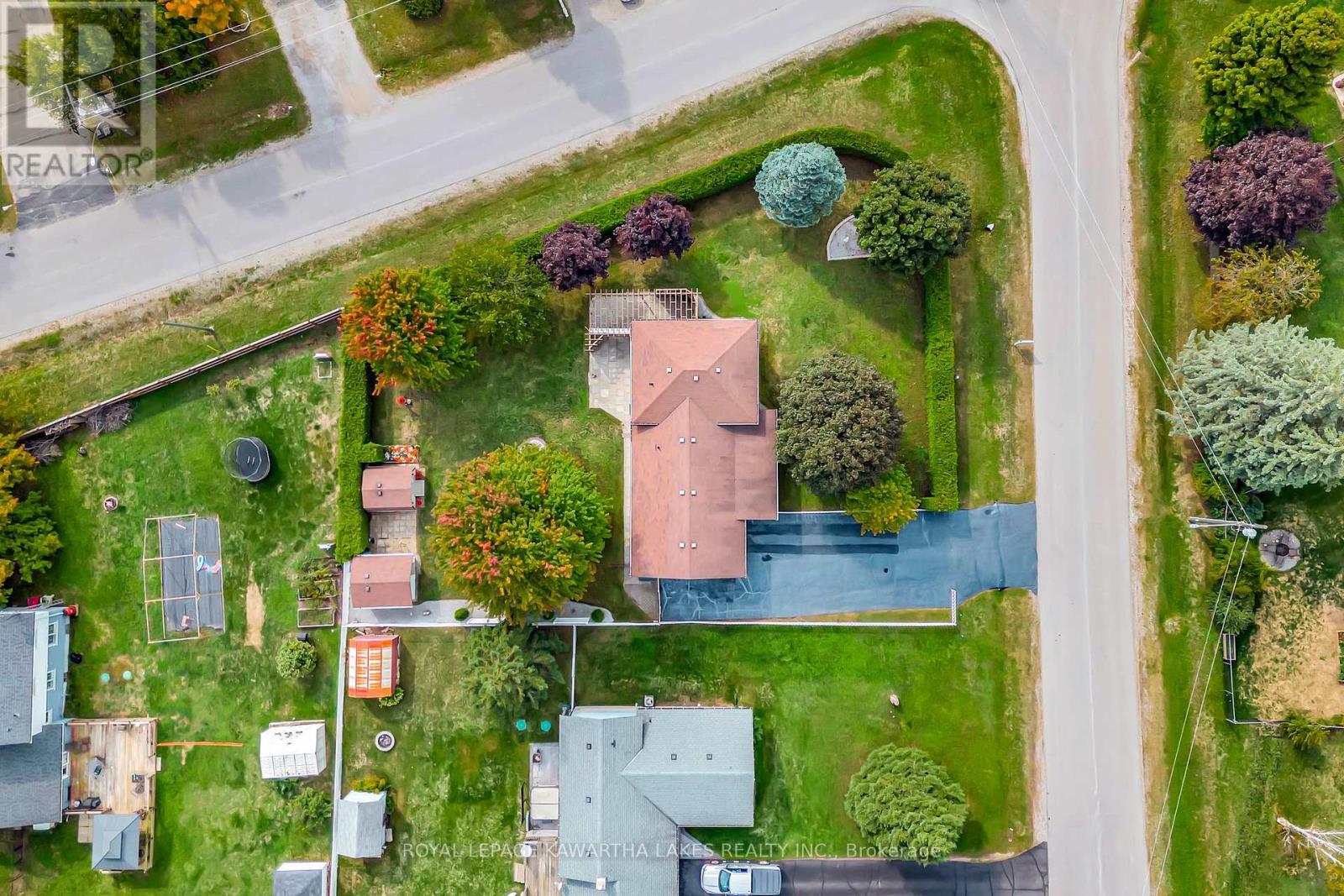 3 Pinewood Crescent, Kawartha Lakes, Ontario  L0A 1K0 - Photo 3 - X12424078