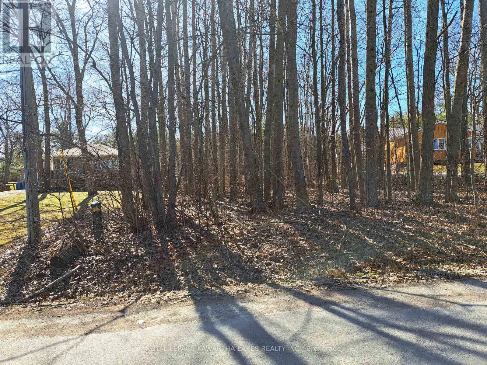 0 Poplar Drive, Hamilton Township, Ontario  K0L 1E0 - Photo 1 - X12436091
