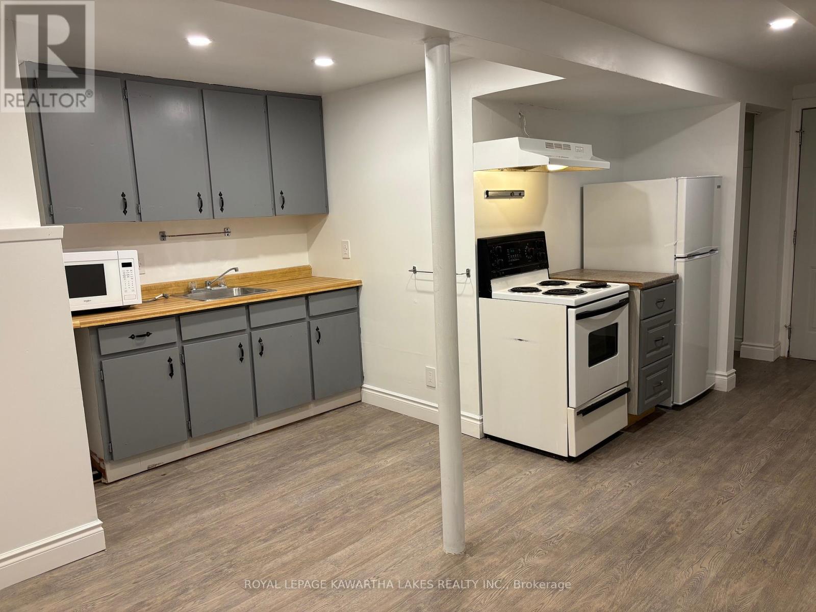 Lower - 128 Angeline Street N, Kawartha Lakes, Ontario  K9V 4N1 - Photo 4 - X12443104