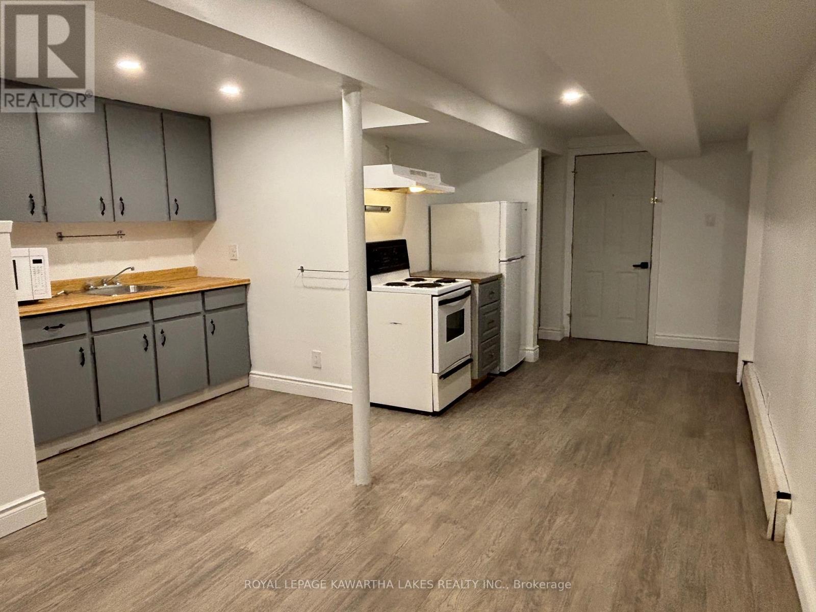 Lower - 128 Angeline Street N, Kawartha Lakes, Ontario  K9V 4N1 - Photo 5 - X12443104