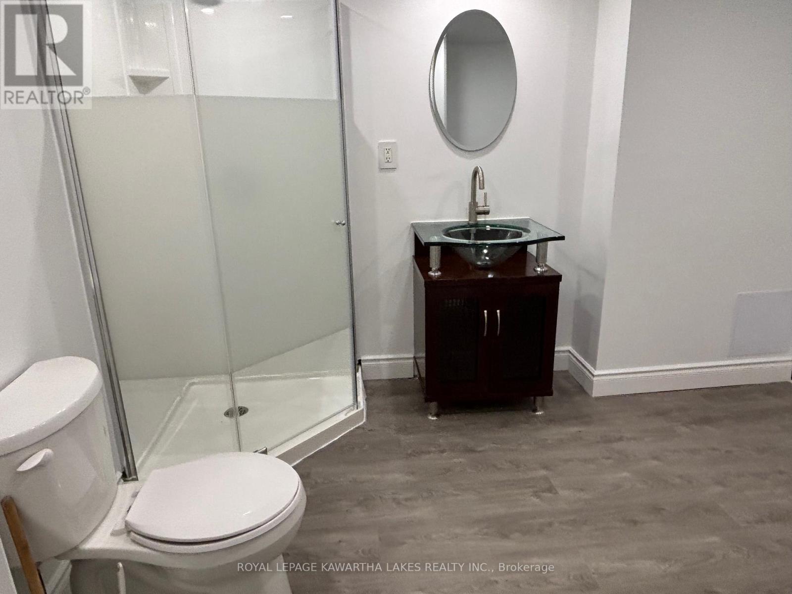 Lower - 128 Angeline Street N, Kawartha Lakes, Ontario  K9V 4N1 - Photo 8 - X12443104