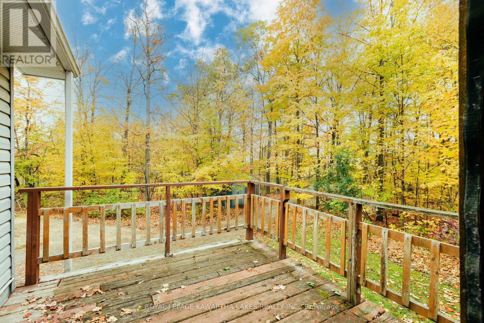 693 Balsam Lake Drive, Kawartha Lakes, Ontario  K0M 2B0 - Photo 15 - X12475205