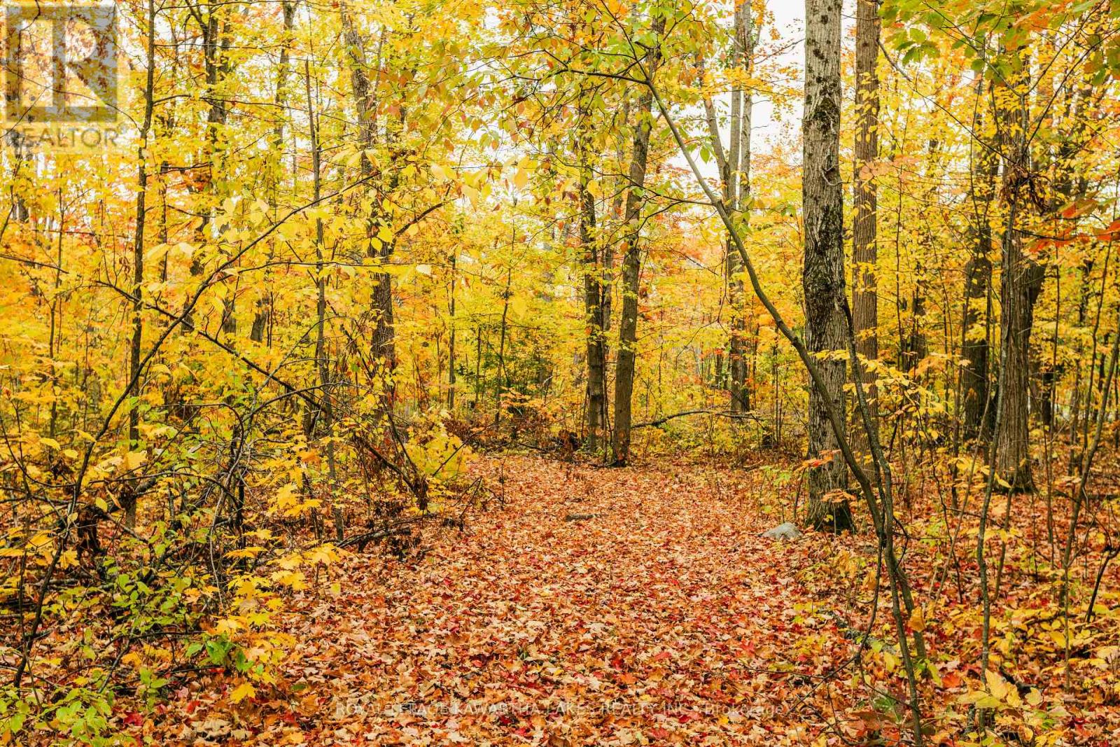 693 Balsam Lake Drive, Kawartha Lakes, Ontario  K0M 2B0 - Photo 44 - X12475205