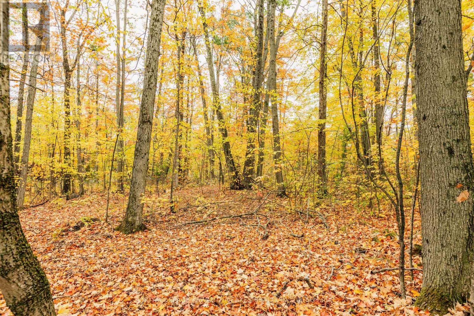 693 Balsam Lake Drive, Kawartha Lakes, Ontario  K0M 2B0 - Photo 45 - X12475205