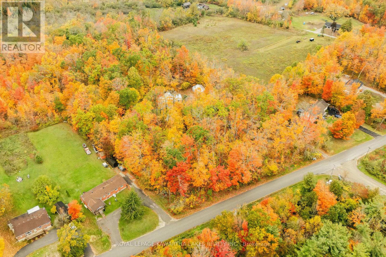 693 Balsam Lake Drive, Kawartha Lakes, Ontario  K0M 2B0 - Photo 47 - X12475205