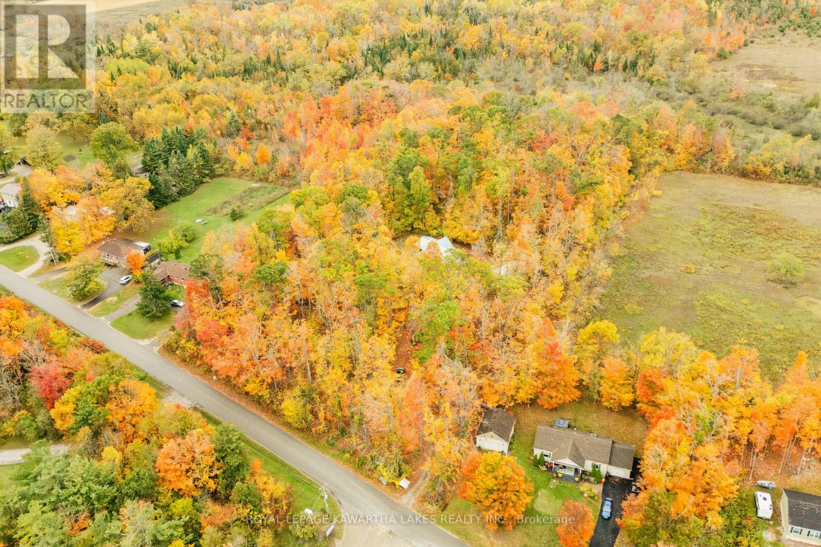 693 Balsam Lake Drive, Kawartha Lakes, Ontario  K0M 2B0 - Photo 48 - X12475205