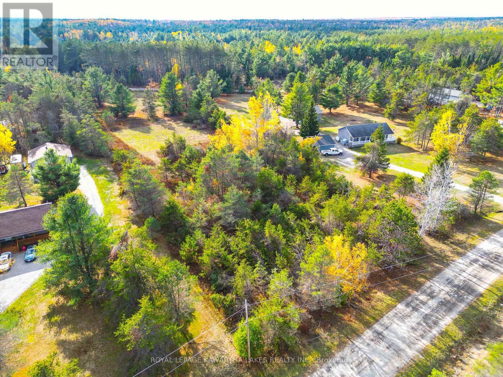 Lt 36 Hodgson Drive, Kawartha Lakes, Ontario  K0M 1C0 - Photo 1 - X12476297