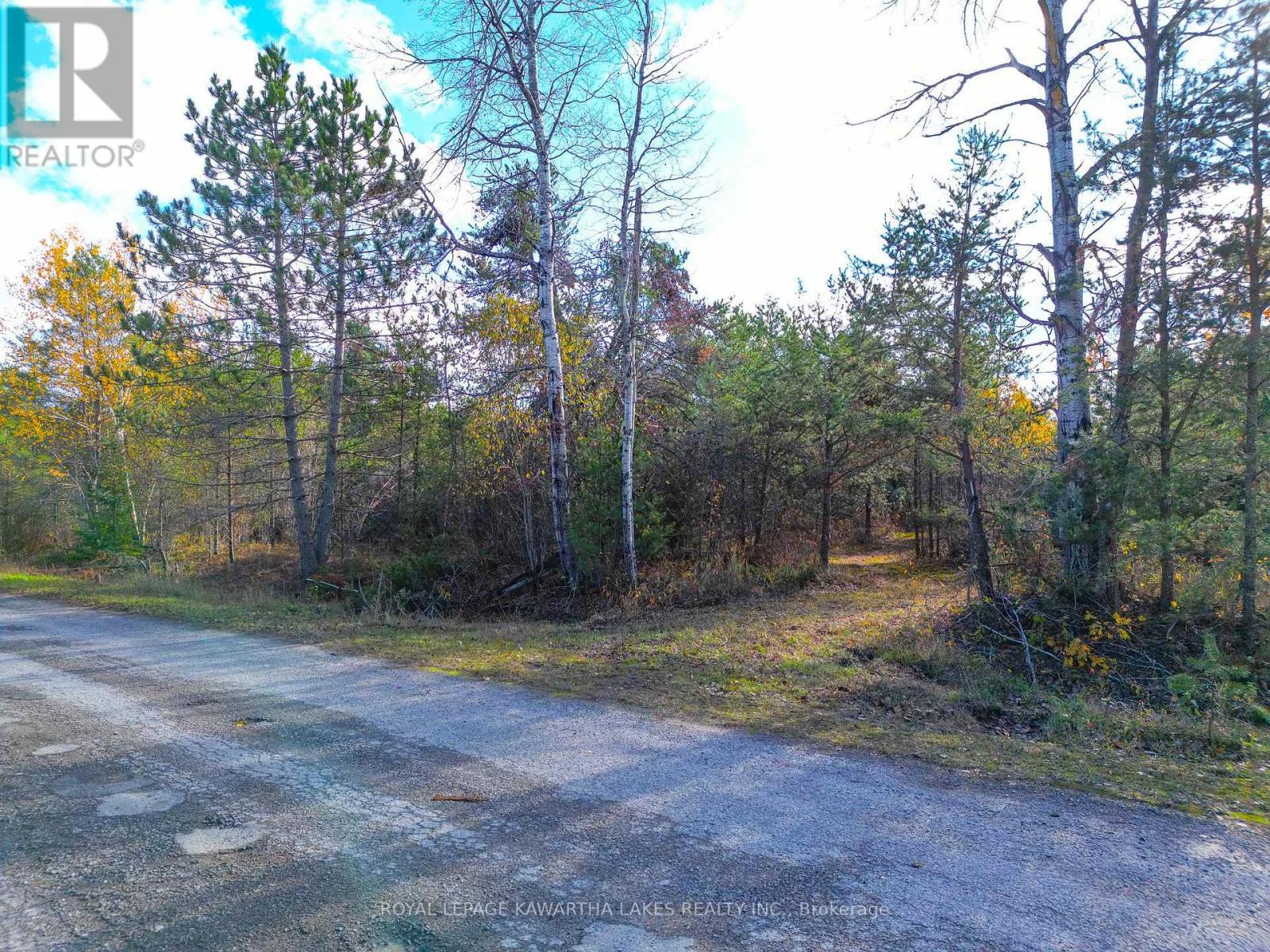 Lt 36 Hodgson Drive, Kawartha Lakes, Ontario  K0M 1C0 - Photo 3 - X12476297