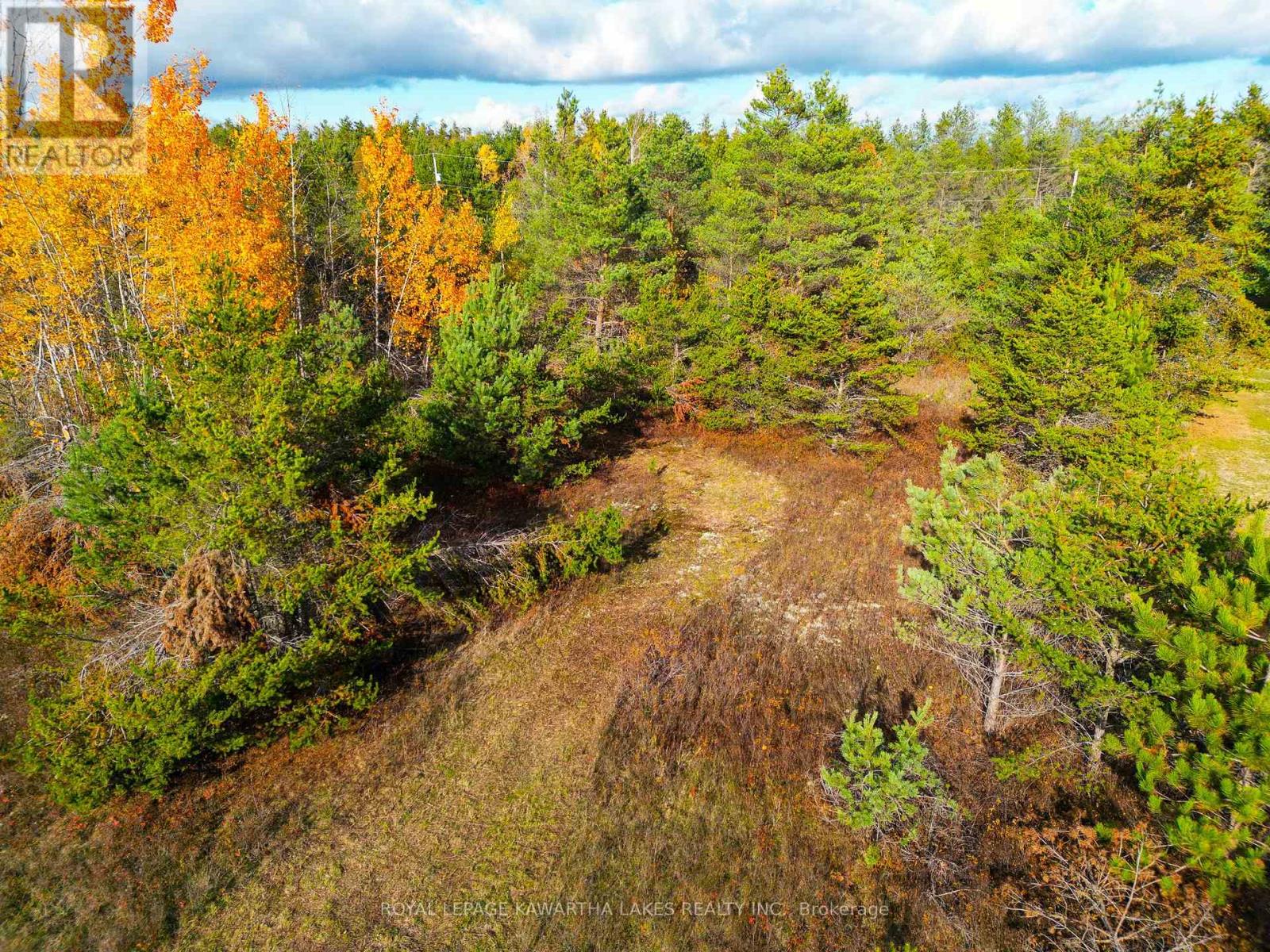 Lt 36 Hodgson Drive, Kawartha Lakes, Ontario  K0M 1C0 - Photo 5 - X12476297