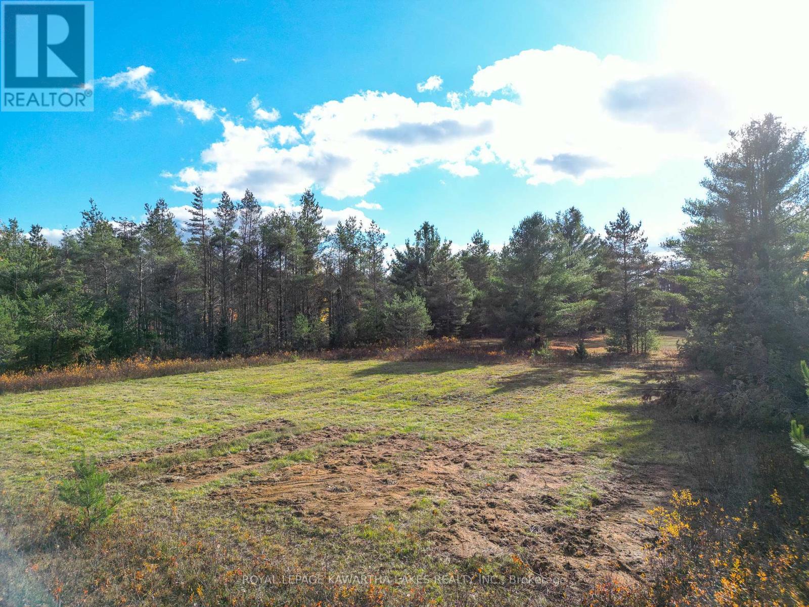 Lt 36 Hodgson Drive, Kawartha Lakes, Ontario  K0M 1C0 - Photo 7 - X12476297