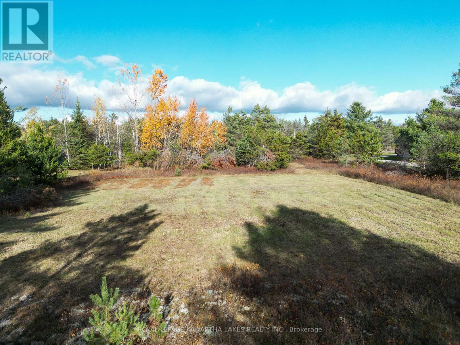 Lt 36 Hodgson Drive, Kawartha Lakes, Ontario  K0M 1C0 - Photo 9 - X12476297