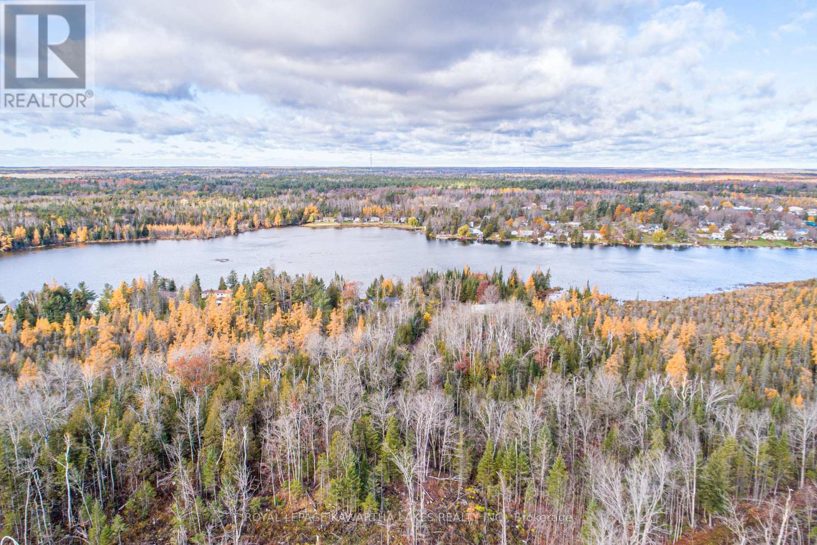 0 Duncombe Drive, Kawartha Lakes, Ontario  K0M 1K0 - Photo 6 - X12522630