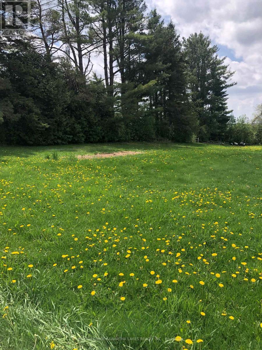 8 Fulsom Crescent, Kawartha Lakes, Ontario  L3V 0H5 - Photo 5 - X12528484