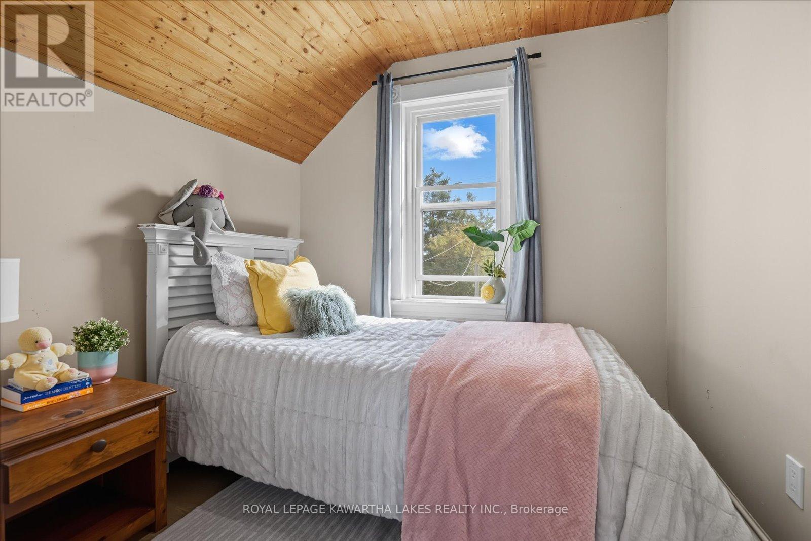 18 Mary Street W, Kawartha Lakes, Ontario  K9V 2N4 - Photo 23 - X12531882