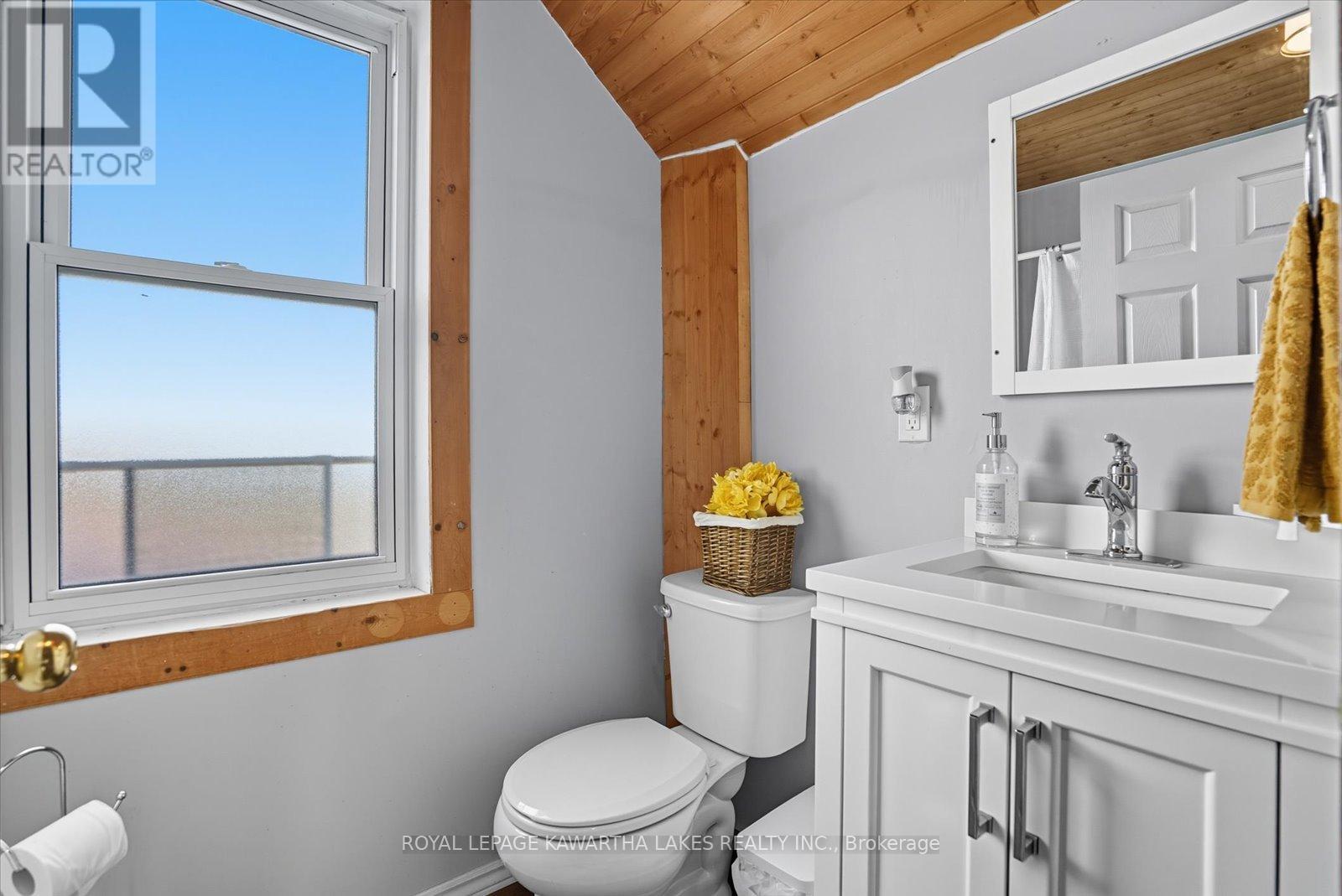 18 Mary Street W, Kawartha Lakes, Ontario  K9V 2N4 - Photo 33 - X12531882