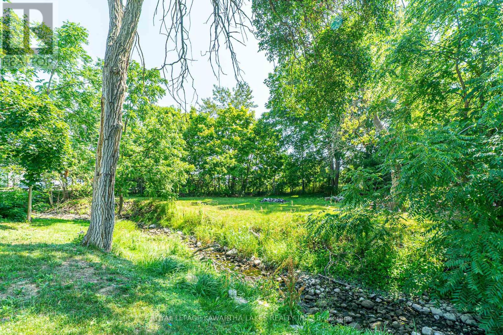 50 St Patrick Street, Kawartha Lakes, Ontario  K9V 1R3 - Photo 31 - X12540502