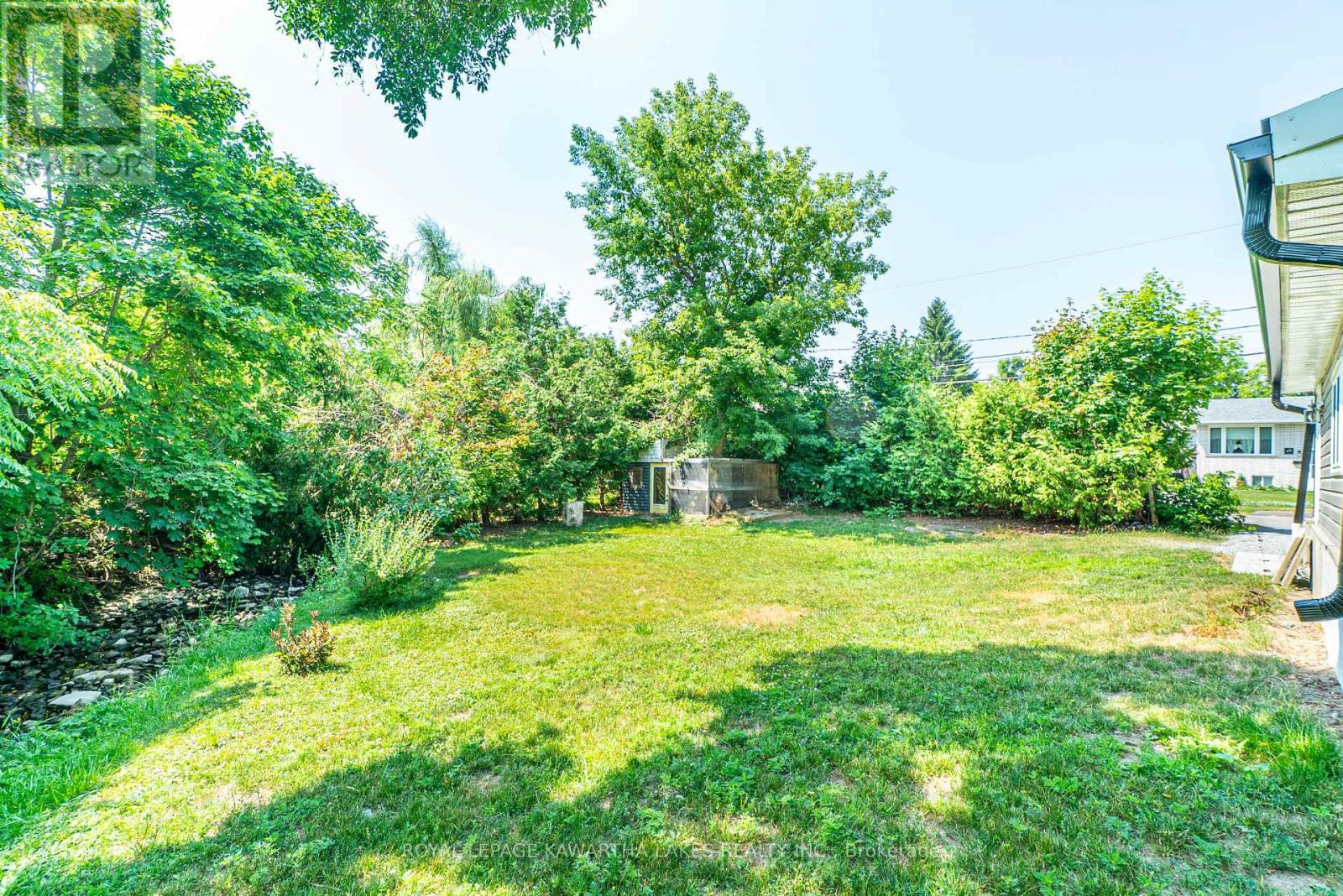 50 St Patrick Street, Kawartha Lakes, Ontario  K9V 1R3 - Photo 33 - X12540502