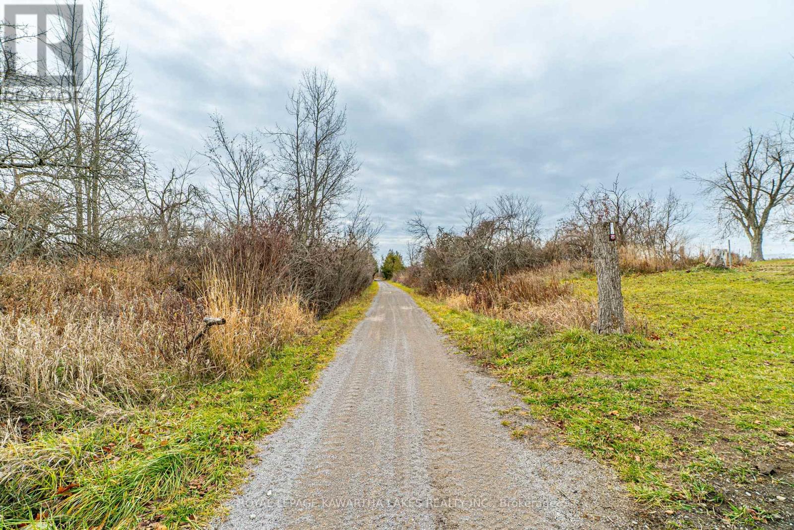 4170 Hwy 35, Kawartha Lakes, Ontario  K0M 1G0 - Photo 39 - X12578506