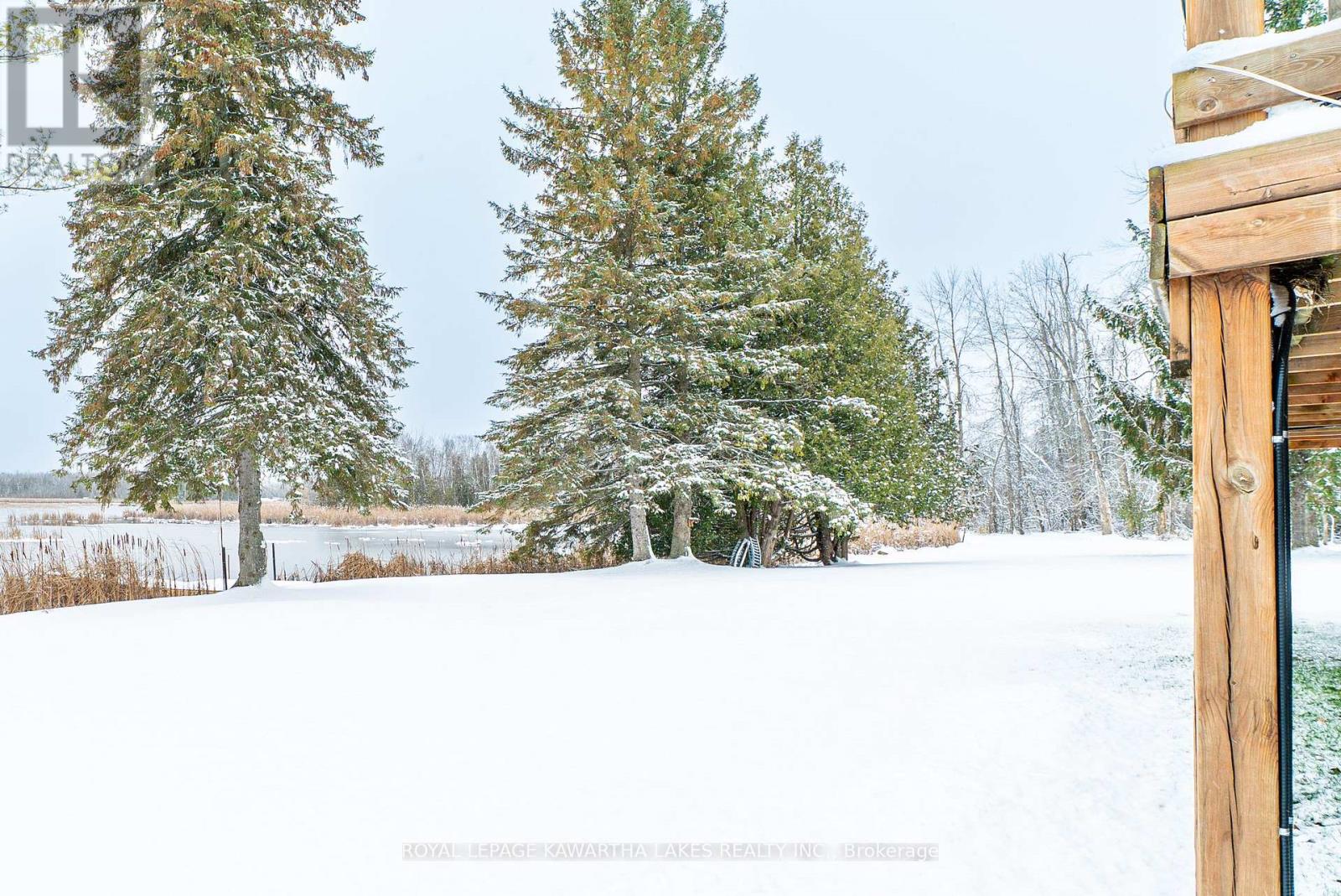 1 Bridle Road, Kawartha Lakes, Ontario  K9V 4R2 - Photo 44 - X12590478