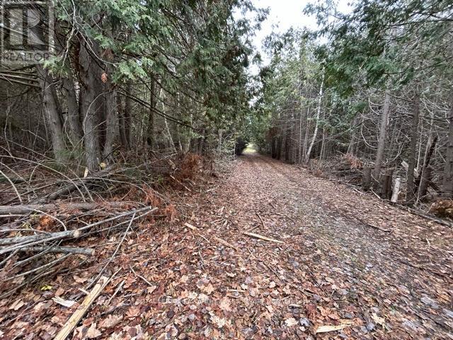 Ptlt 29 Concession 8, Kawartha Lakes, Ontario  K0M 1A0 - Photo 1 - X12601760