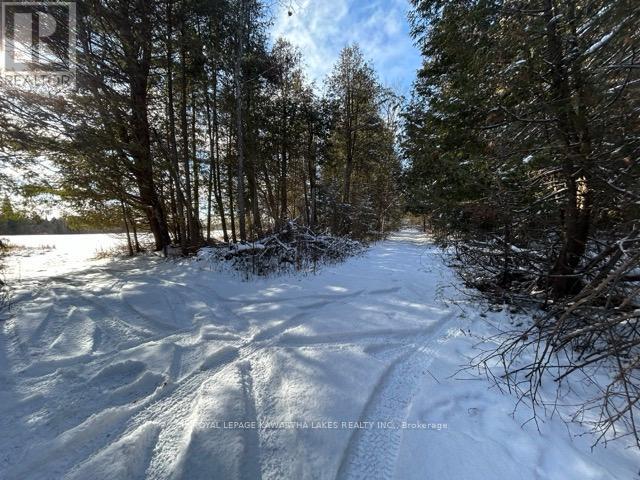 Ptlt 29 Concession 8, Kawartha Lakes, Ontario  K0M 1A0 - Photo 13 - X12601760