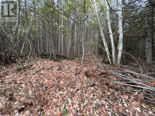 Ptlt 29 Concession 8, Kawartha Lakes, Ontario  K0M 1A0 - Photo 2 - X12601760