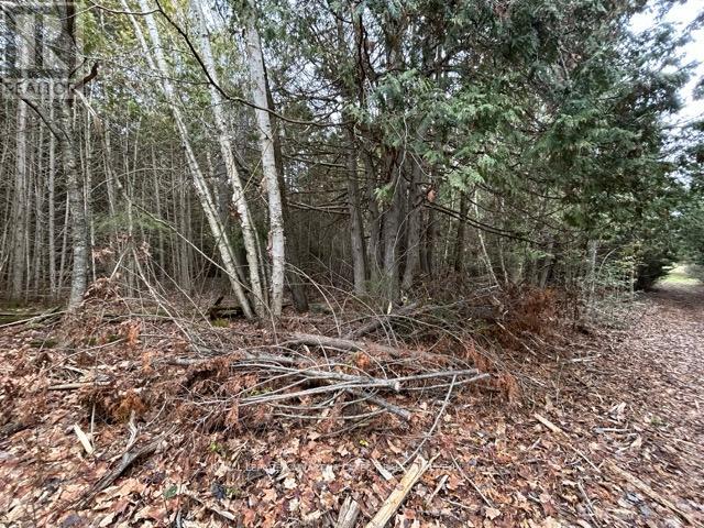 Ptlt 29 Concession 8, Kawartha Lakes, Ontario  K0M 1A0 - Photo 3 - X12601760