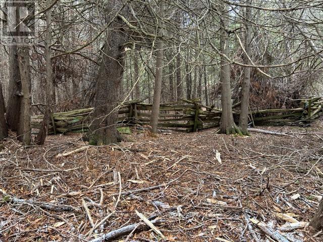 Ptlt 29 Concession 8, Kawartha Lakes, Ontario  K0M 1A0 - Photo 6 - X12601760