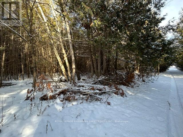 Ptlt 29 Concession 8, Kawartha Lakes, Ontario  K0M 1A0 - Photo 9 - X12601760