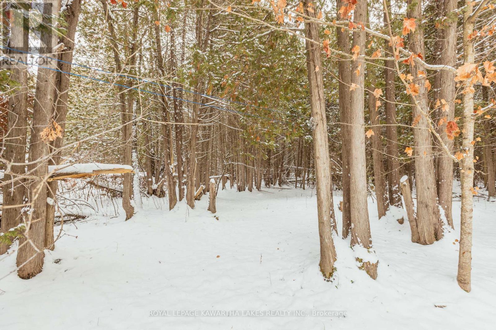 38 Fell Station Drive, Kawartha Lakes, Ontario  K0M 1N0 - Photo 33 - X12625348