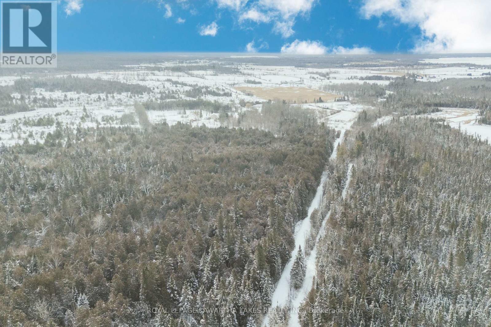 38 Fell Station Drive, Kawartha Lakes, Ontario  K0M 1N0 - Photo 4 - X12625348