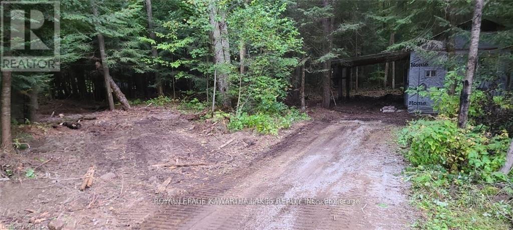 7545 Highway 35, Kawartha Lakes, Ontario  K0M 2L0 - Photo 4 - X12676178