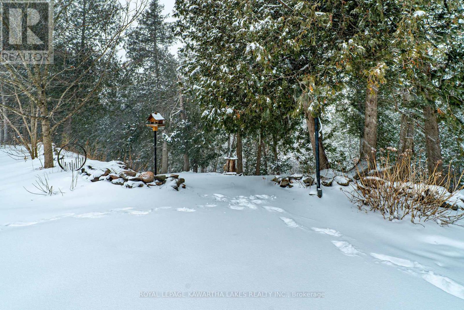 61 Kenrei Road, Kawartha Lakes, Ontario  K9V 4R1 - Photo 48 - X12731674