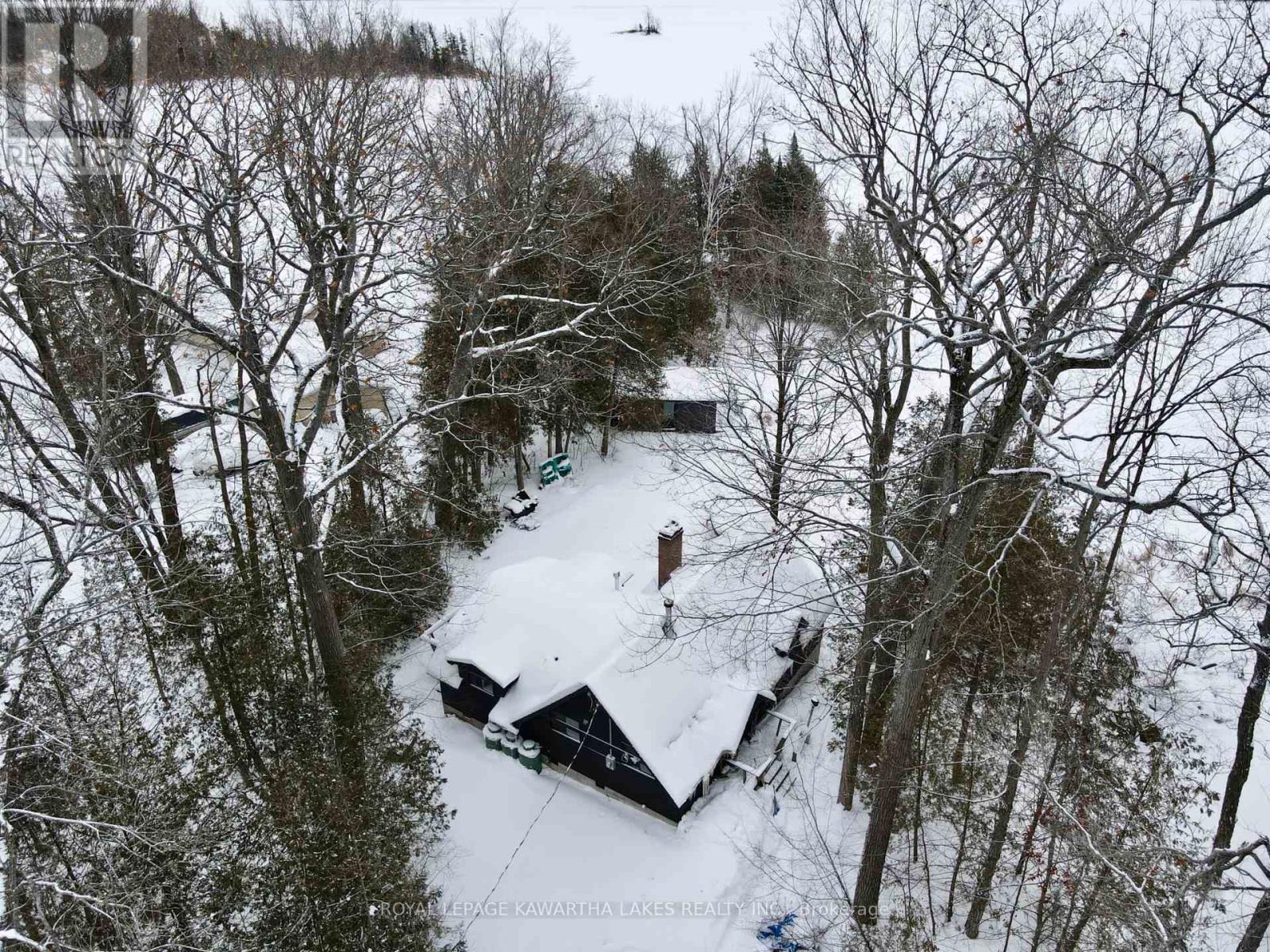8 Fr 62 Street, Trent Lakes, Ontario  K0L 1J0 - Photo 6 - X12748596