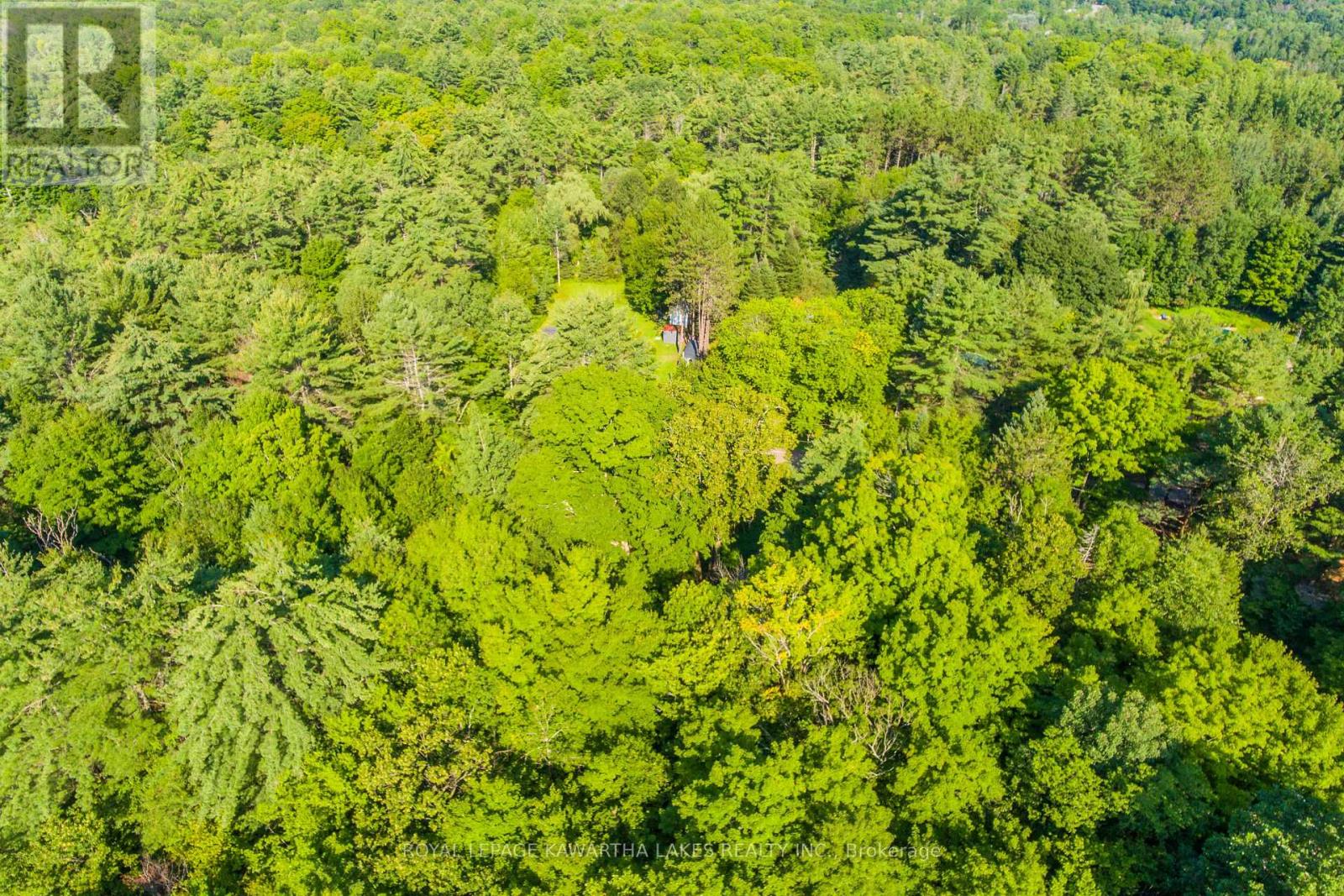 Lt 33 Benson Boulevard, Kawartha Lakes, Ontario  K0M 1K0 - Photo 14 - X12752624