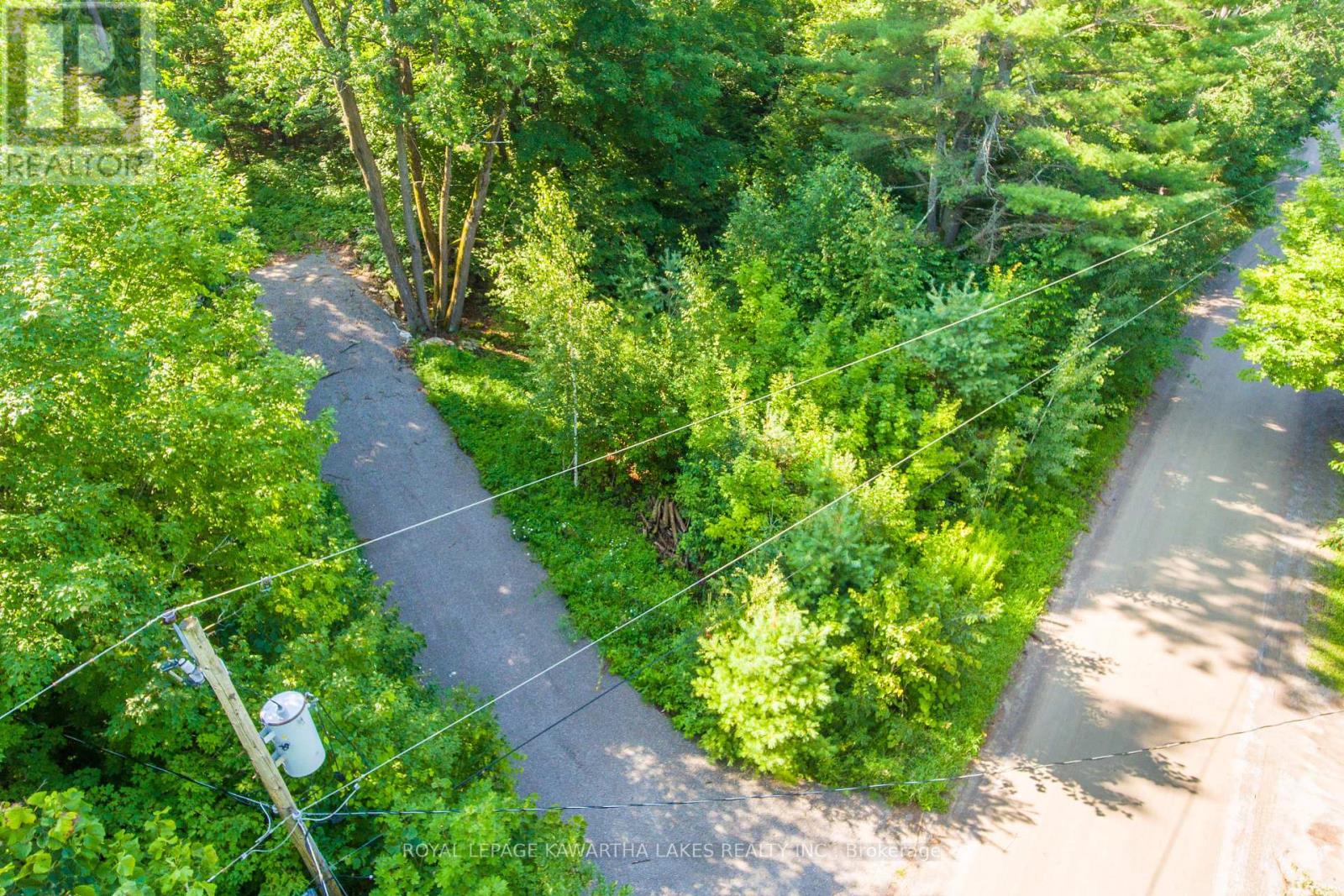 Lt 33 Benson Boulevard, Kawartha Lakes, Ontario  K0M 1K0 - Photo 16 - X12752624