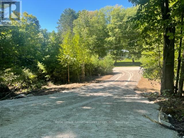 Lt 33 Benson Boulevard, Kawartha Lakes, Ontario  K0M 1K0 - Photo 19 - X12752624