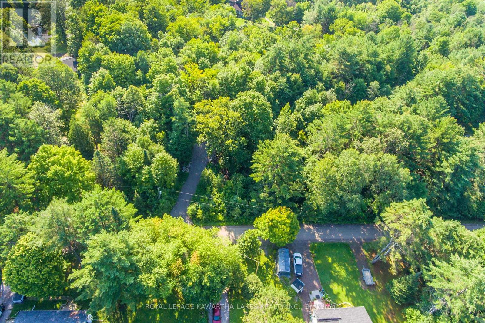 Lt 33 Benson Boulevard, Kawartha Lakes, Ontario  K0M 1K0 - Photo 3 - X12752624