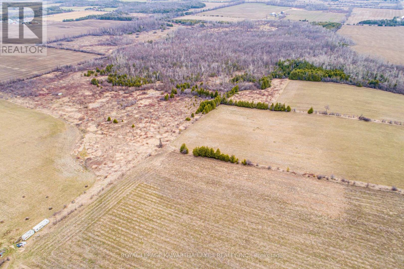 210 Grasshill Road, Kawartha Lakes, Ontario  K0M 2T0 - Photo 4 - X12774542