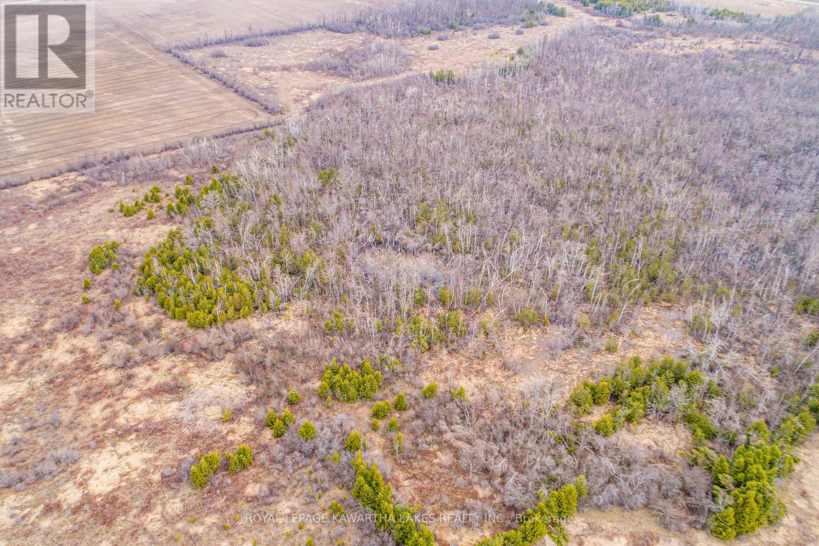 210 Grasshill Road, Kawartha Lakes, Ontario  K0M 2T0 - Photo 7 - X12774542