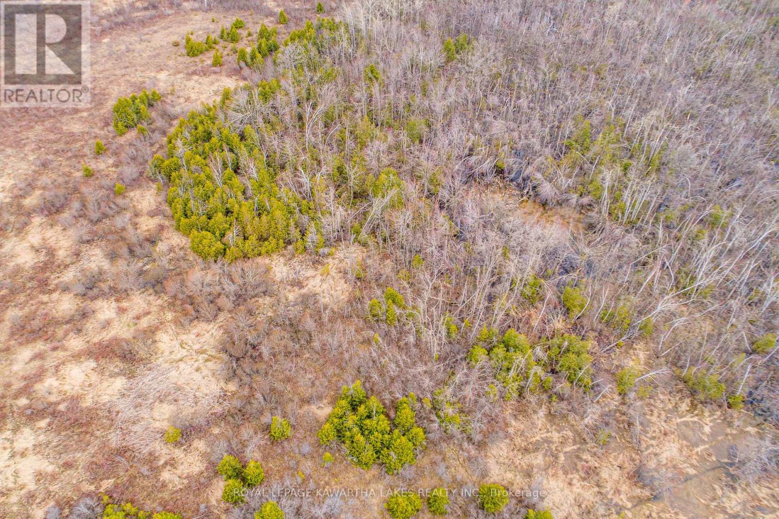 210 Grasshill Road, Kawartha Lakes, Ontario  K0M 2T0 - Photo 9 - X12774542