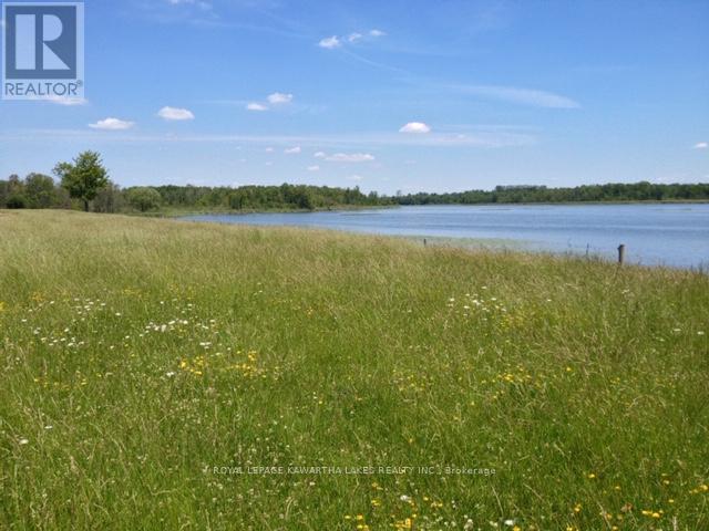 0 O'reilly Lane, Kawartha Lakes, Ontario  K0M 2T0 - Photo 1 - X12786018